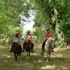 Promenade à poneys