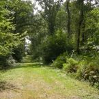 chemin pédestre