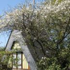 bungalows
